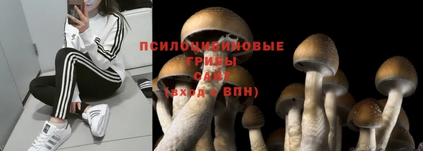 прущие крисы Абдулино