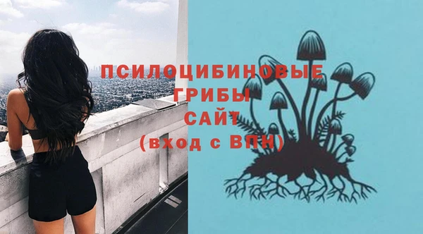 2c-b Алзамай