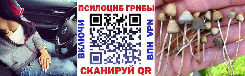 hydra ТОР  Сухиничи  Псилоцибиновые грибы Psilocybe  купить наркотик 